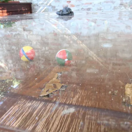 The House Of The Film * Σιένα